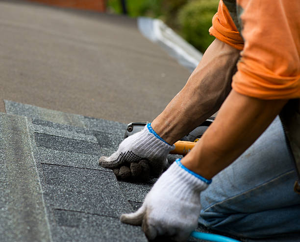 Roof Installation Near Me in Prospect, KY